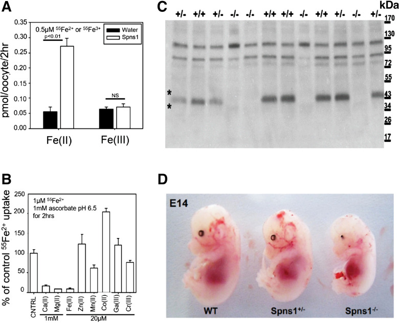 Figure 1.