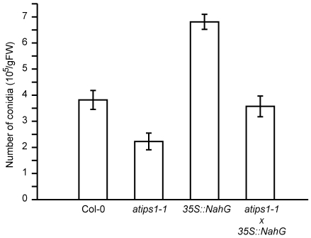 Figure 7