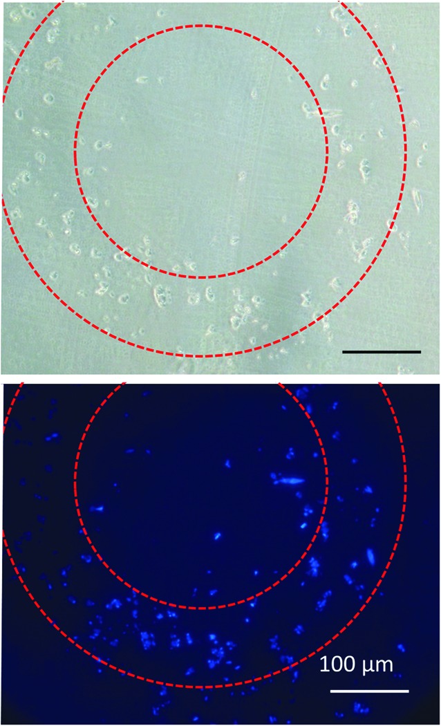 FIG. 6.