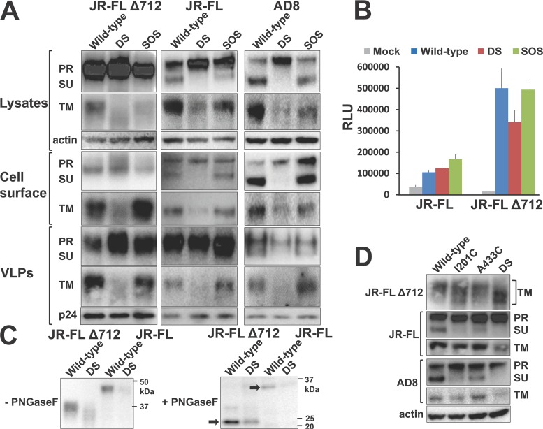 FIG 2