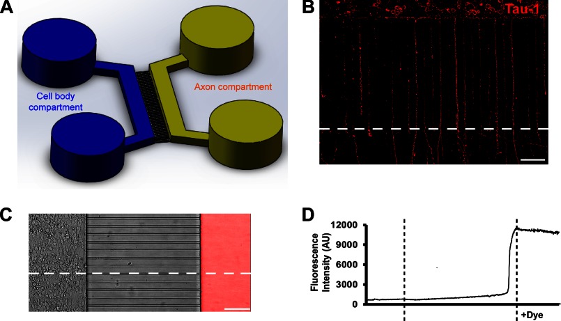 FIGURE 7.