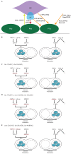 Fig. 8.