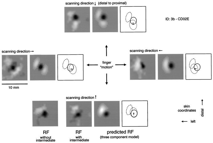 Fig. 3.