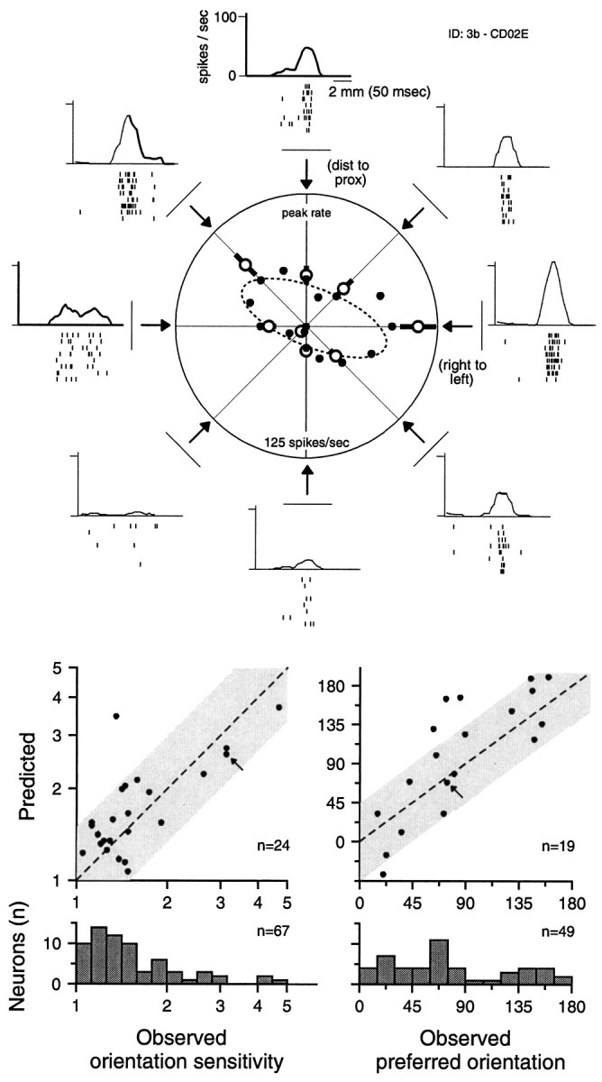 Fig. 12.