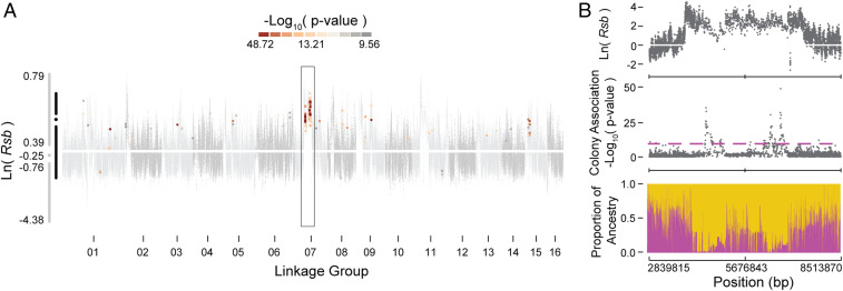 Fig. 2.