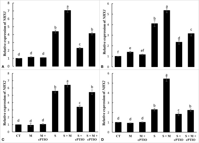 Figure 5