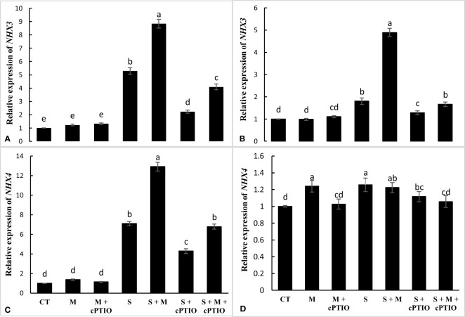 Figure 6