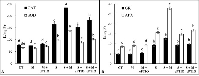 Figure 3