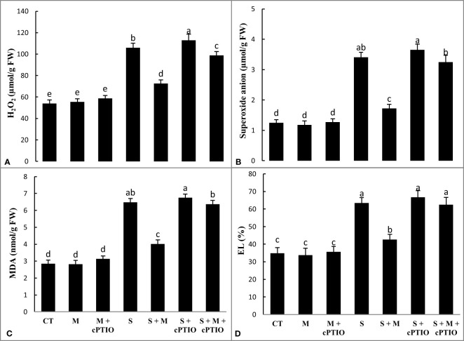 Figure 2