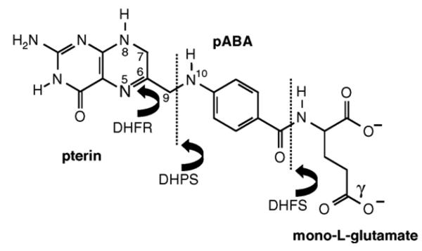 Fig. 1