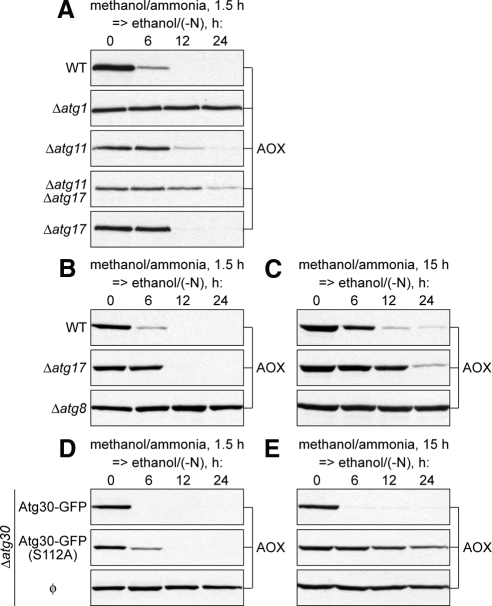 Figure 5.