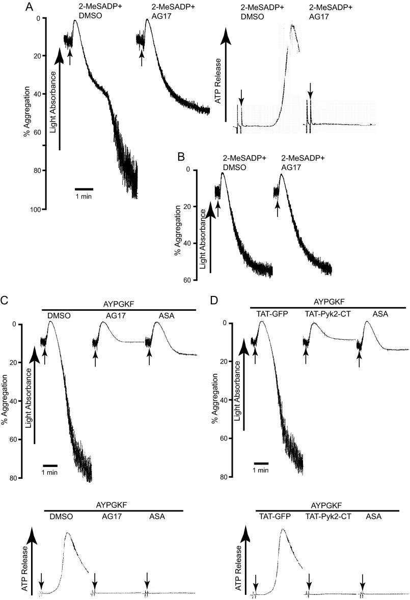 FIGURE 4.