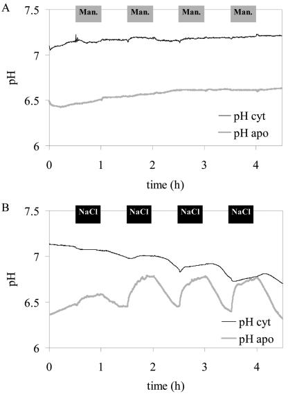 Figure 10.