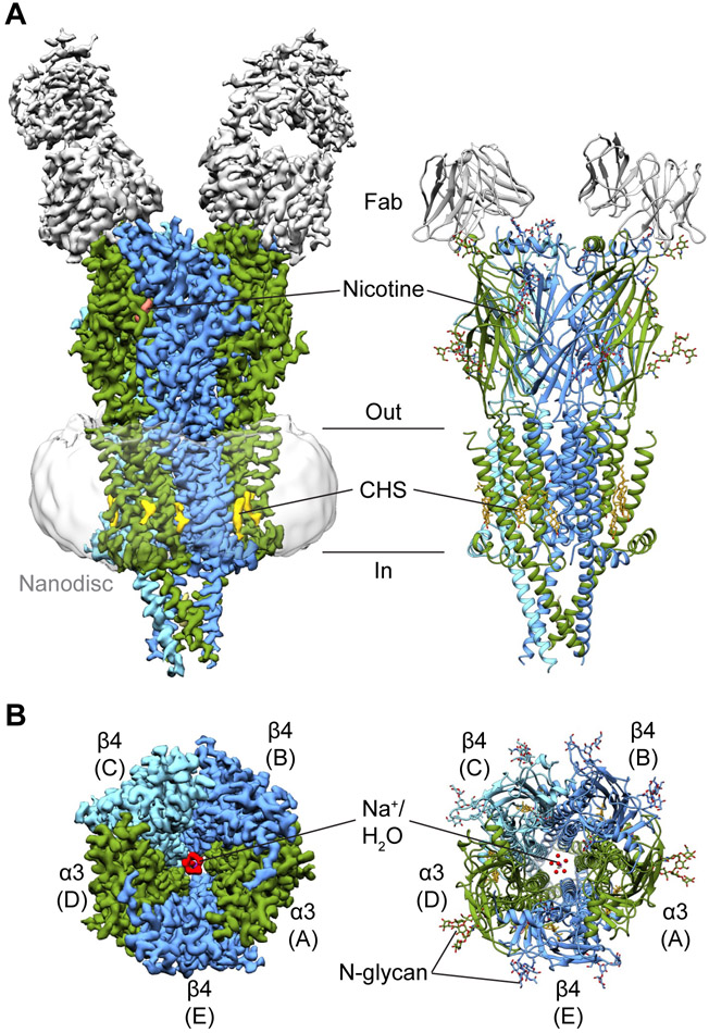 Fig. 2