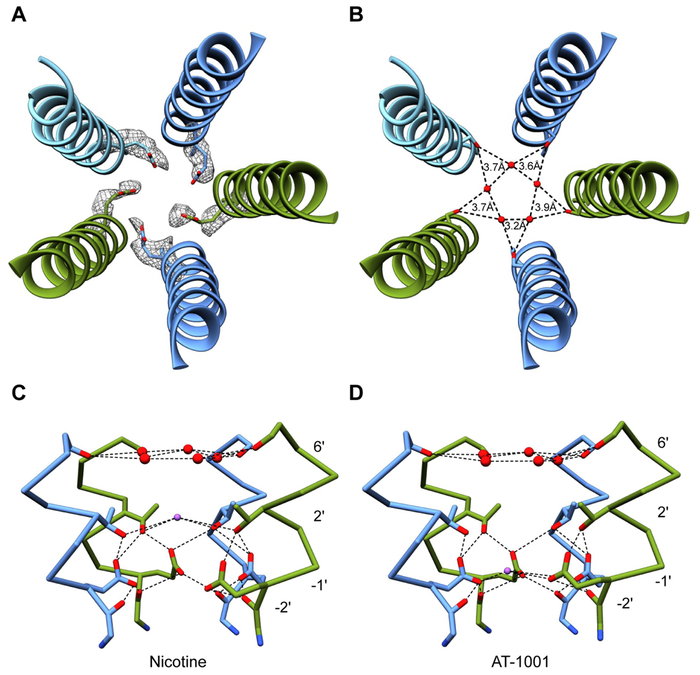 Fig. 6