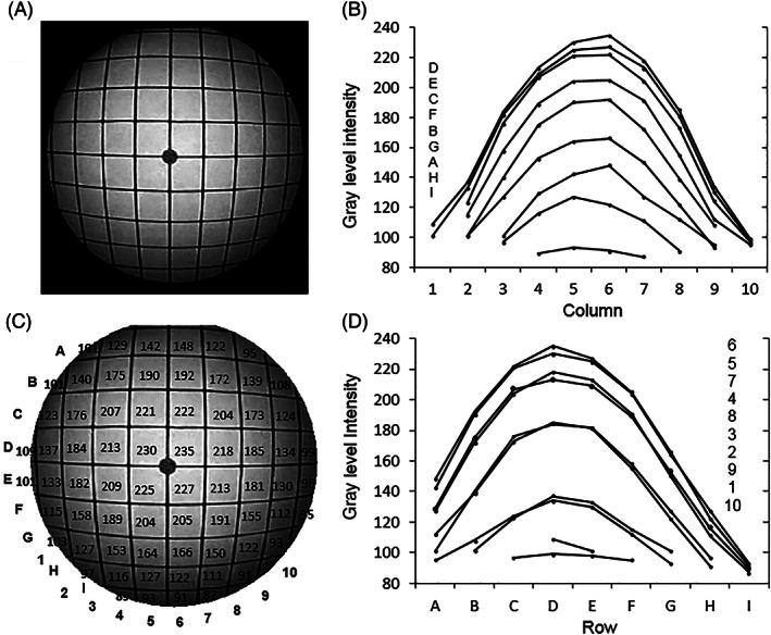 FIGURE 2