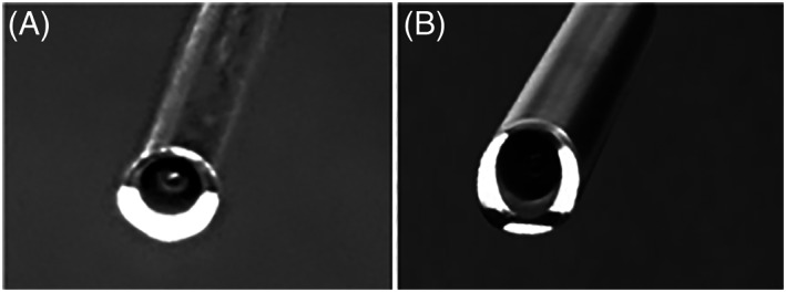 FIGURE 4