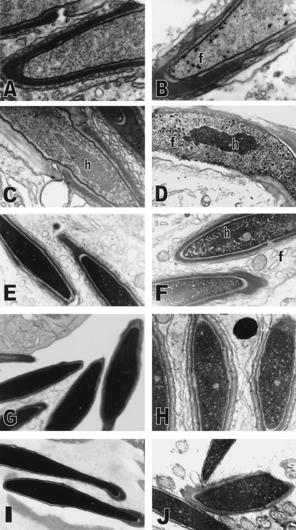 FIG. 7