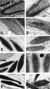 FIG. 7