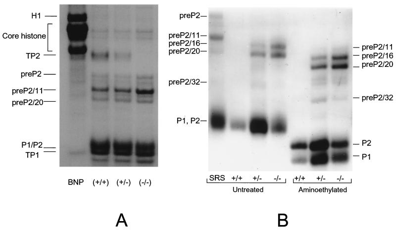 FIG. 5