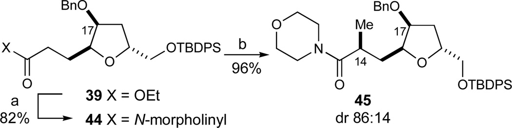 Scheme 5