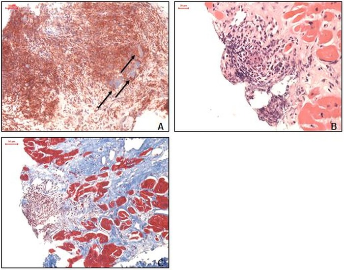 Figure 1