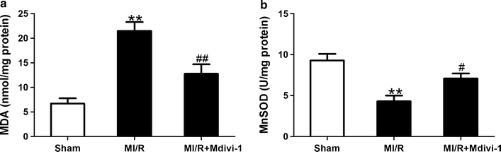 Fig. 7