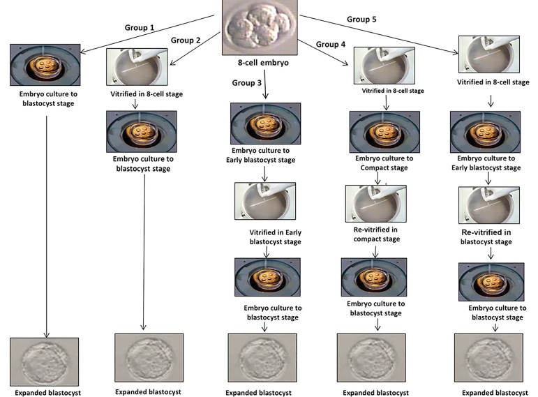 Fig.1