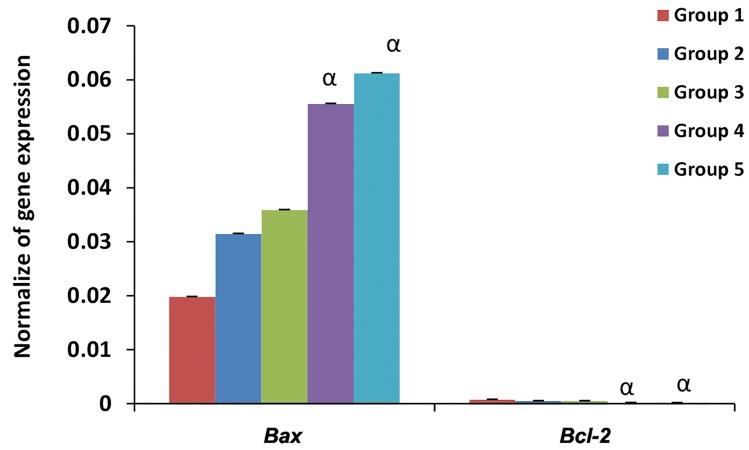 Fig.2