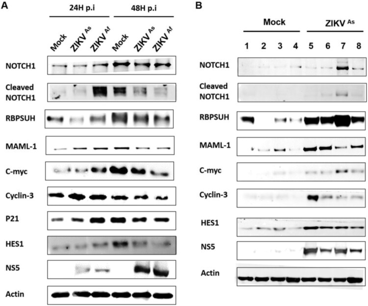 Figure 6.