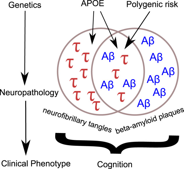 Graphical Abstract