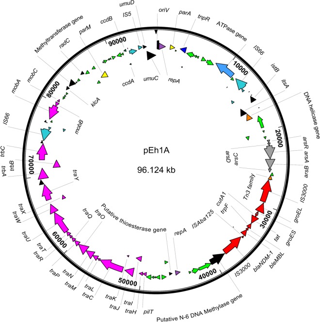 FIG 1