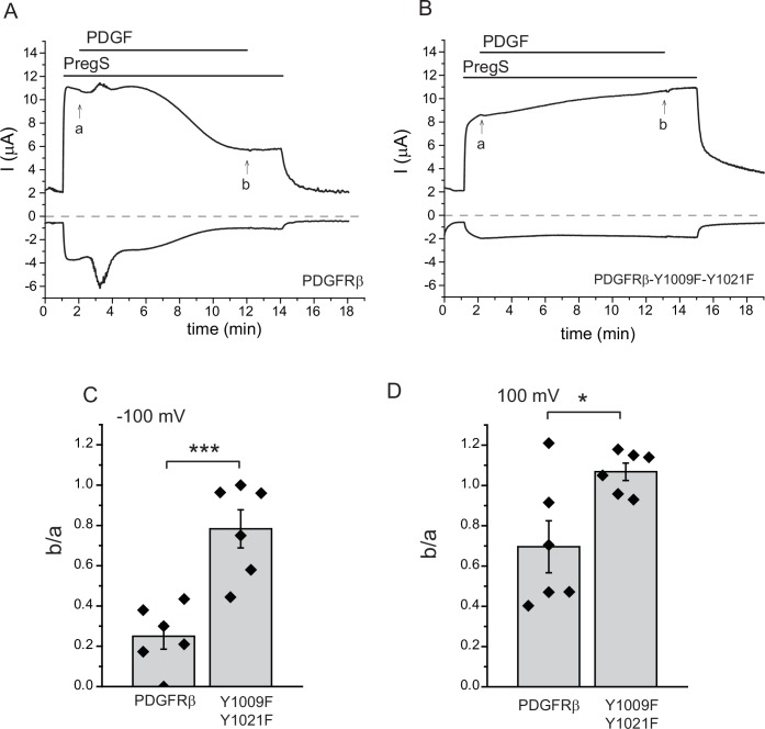 Figure 1—figure supplement 3.