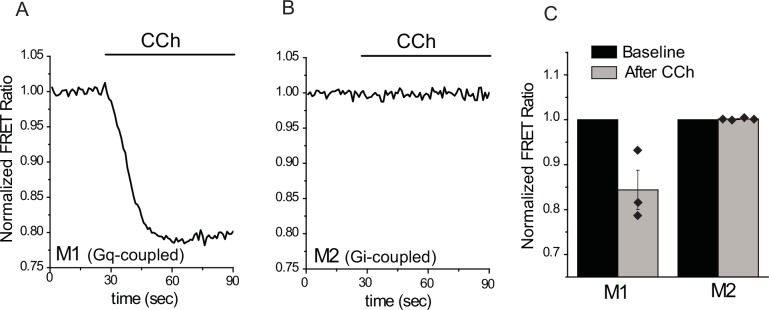 Figure 1—figure supplement 1.