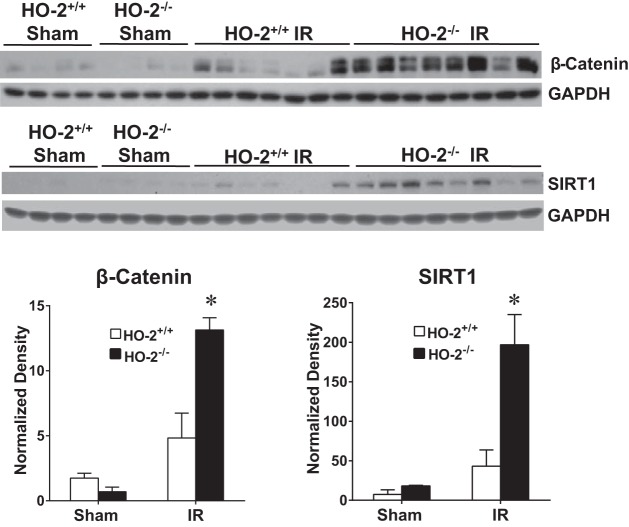 Fig. 10.