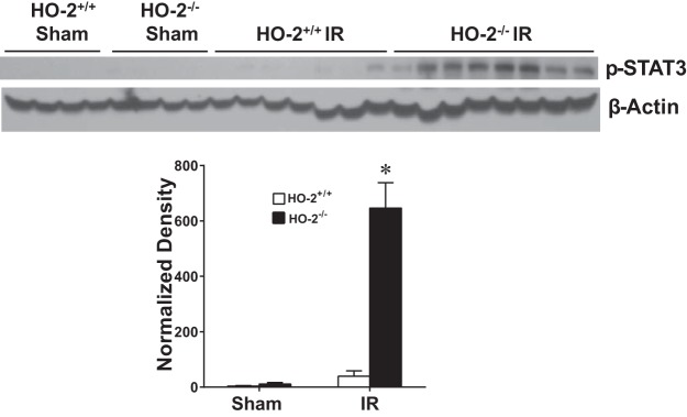 Fig. 9.