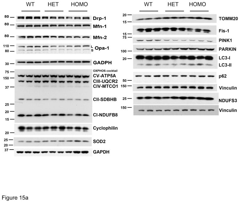 Fig. 15
