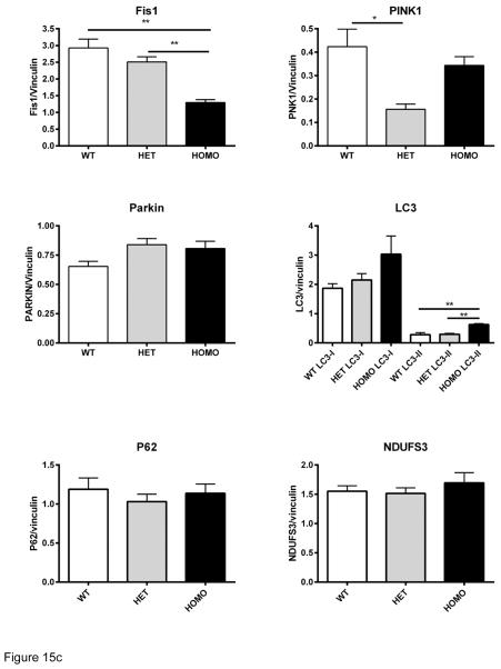 Fig. 15