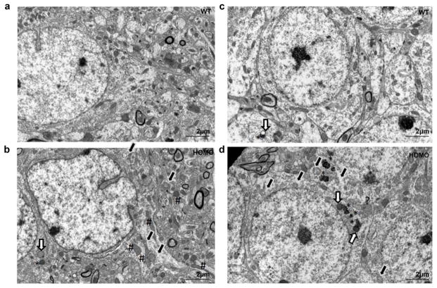 Fig. 13