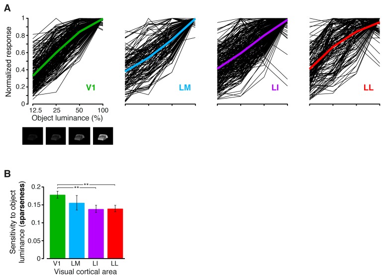 Figure 3—figure supplement 3.