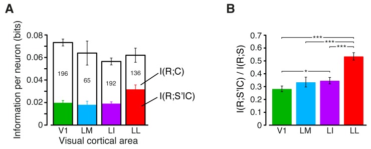 Figure 3—figure supplement 4.