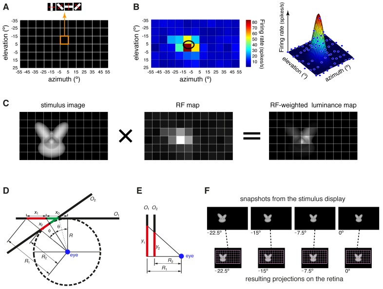 Figure 1—figure supplement 2.