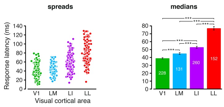 Figure 7—figure supplement 1.