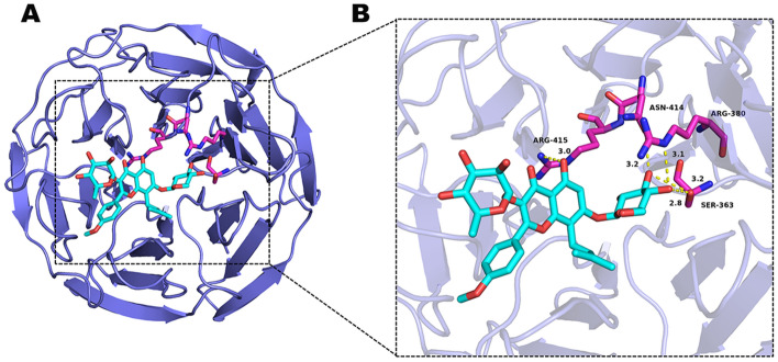 Figure 9