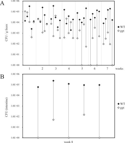 FIG. 9.