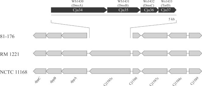 FIG. 2.