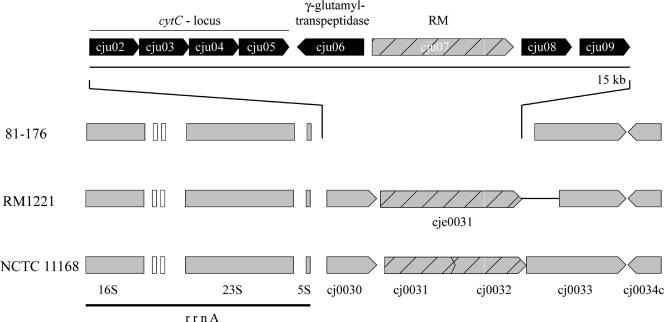 FIG. 3.