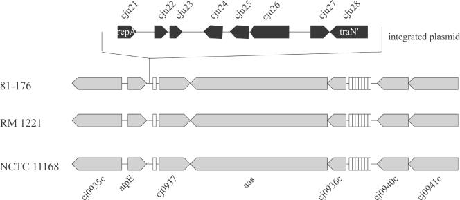 FIG. 4.