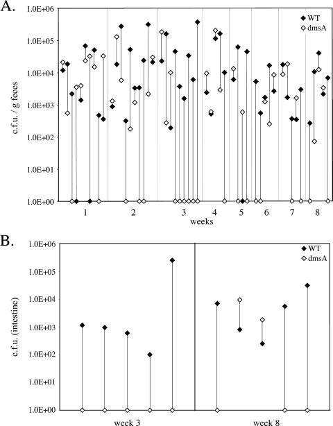 FIG. 8.