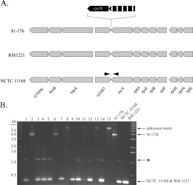 FIG. 6.